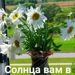 Olga Kim, 10.03.1985, Алматы