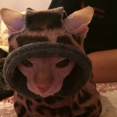 Дмитрий Скрябин, 12.06, Москва