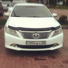 Дамир Бисенов, 10.04