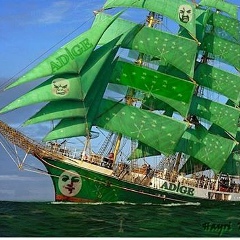 Залим Савкуев, 19.04.1984, Москва