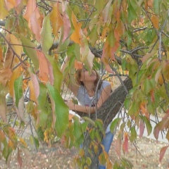 Людмила Людмила, 17.12.1965