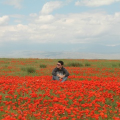 Бауыржан Мырзабеков, 08.02, Алматы