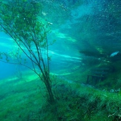 Таня Федосова, 15.01, Москва