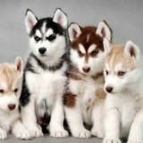 Самат Нурпадшаевич, Алматы