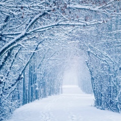 Мадина Тапаева, 16.12.1994