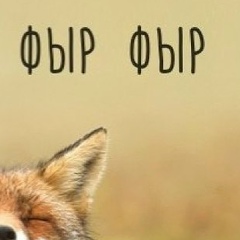 Hase Kitty, 21.03, Санкт-Петербург