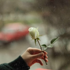 Джавад Гасанов, 03.08.1994, Баку