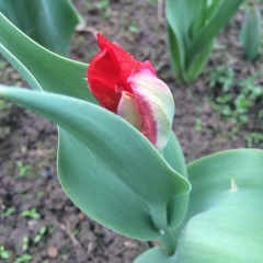 Натали Кругляк, 05.09.1987, Москва