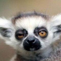 Александр Шабашов, 31.07, Москва