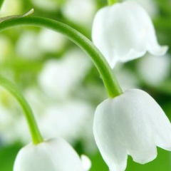 Татьяна Заблоцкая, 04.01.1982, Одесса