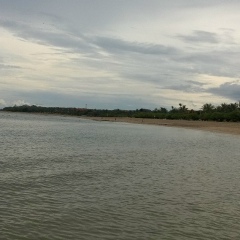 Коля Лебедев, 13.04.1989