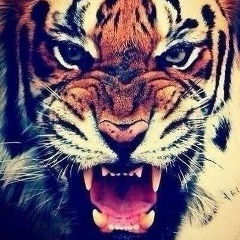 Алексей Шевченко, 01.10, Москва