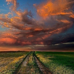 Виктория Лысак, 24.03, Харьков