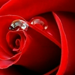 Mahmuda Nurmuhamedova, 01.07.1983