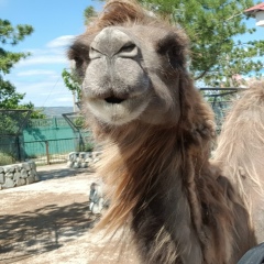 Александр Пудышев, 28.06, Санкт-Петербург