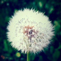 Алёна Гаврилюк, 11.05, Житомир