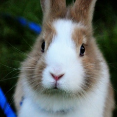 Катюша Умница, 06.08