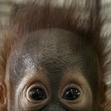 Pavel Paul, Минск