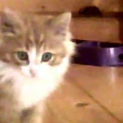 Никита Бирюков, 22.07.2000, Ургакш