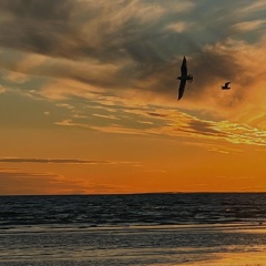 Sveta Shalakhovskaya, 10.01