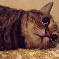 Анастасия Богачева