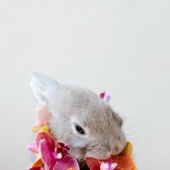 Машуля Погориляк, 27.04.1988, Москва