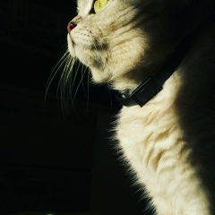 Екатерина Караман, 29.11, Кишинев