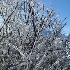 Александр Арушанов, 04.12.1984