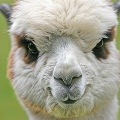 Ольга Морозова, 24.09.1982, Санкт-Петербург