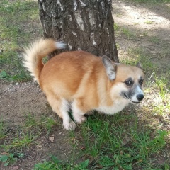 Никита Боровков, 07.04.1989, Москва