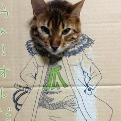 Денис Бондарь, 22.11.1985, Мурманск