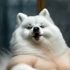 Мясной Чипс, 27.05, Киров