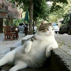 Данияр Амиргалиев