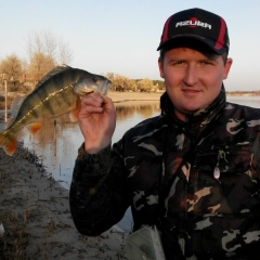 Игорь Иваненко, 26.08.1984, Днепр (Днепропетровск)