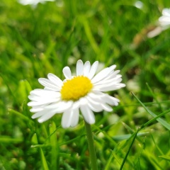 Natalia Klyavlina, Benidorm