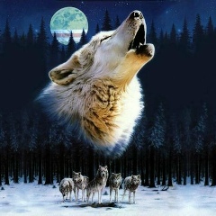 Арайлым Махимова, Алматы