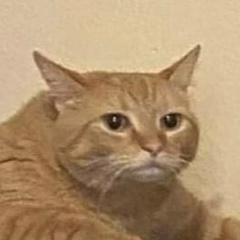 Даурен Арыстанов, 19.12.1909