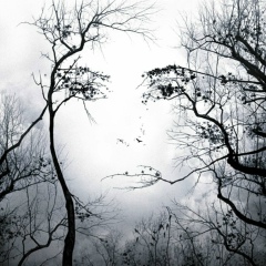 Генннадий Кукоба, 02.03, Дубна