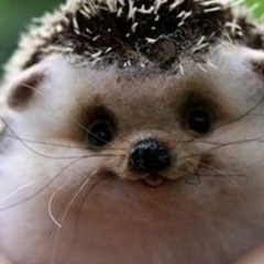 Сергей Chrome, 18.07.1984