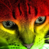 Александр Турбин, 14.10