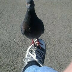 Сергей Жаров, 14.10.1972, Санкт-Петербург