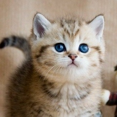 Люда Литвиненко, 01.11, Погребы