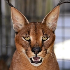 Евгений Селянин, 15.12.1983, Санкт-Петербург