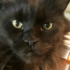 Владислав Григорьев, 05.07, Москва