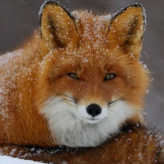 Игорь Аблоухов, 18.12, Петрозаводск