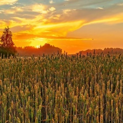 Валерия Курильчук, 23.05, Санкт-Петербург