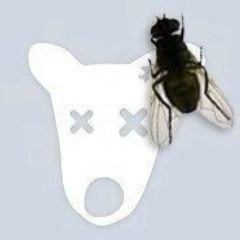 Ушко Селедки, Москва