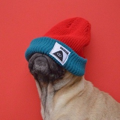 Баймухамбетов Керей, 14.01, Астана