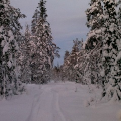 Дмитрий Комаров, 01.01.2008