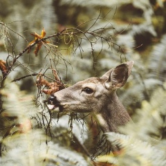 Даулет Туймебай, 17.03